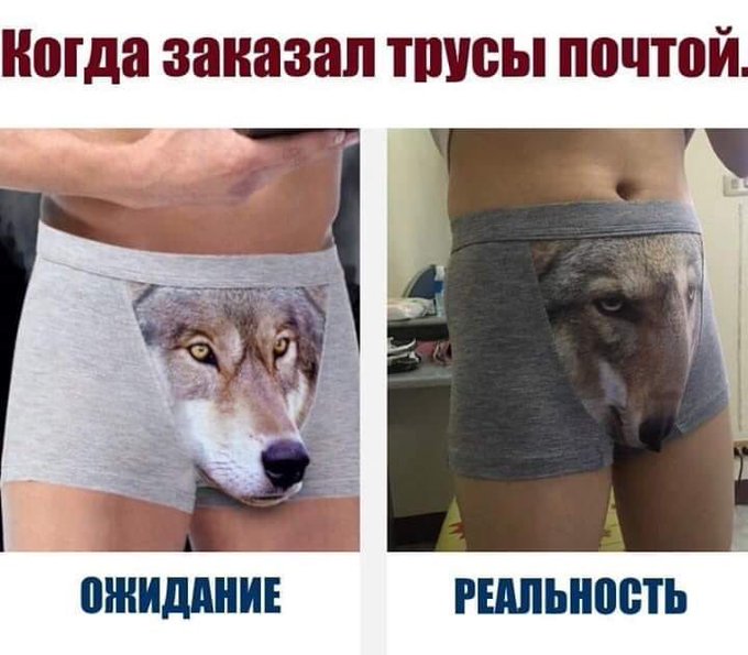 DyOJVKAXgAAFm8v?format=jpg&name=small