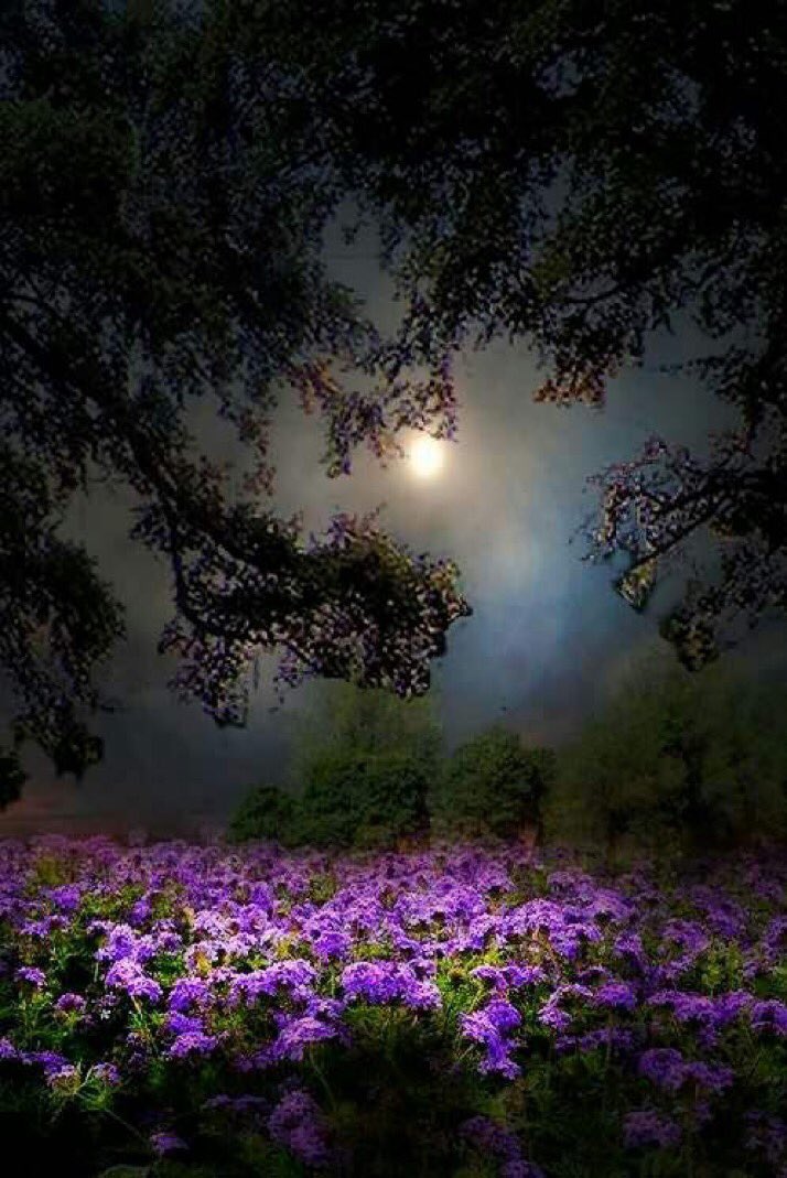 Abade_55455's tweet photo. وأنت تتصفح جهازك ، حرّك لسانك 
بالاستغفار، فطوبى لمن وجد في صحيفته 
استغفاراً كثيراً 🌿 https://t.co/oAchPDSHoQ