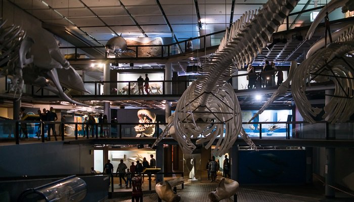 whatsonincapetown tweet media