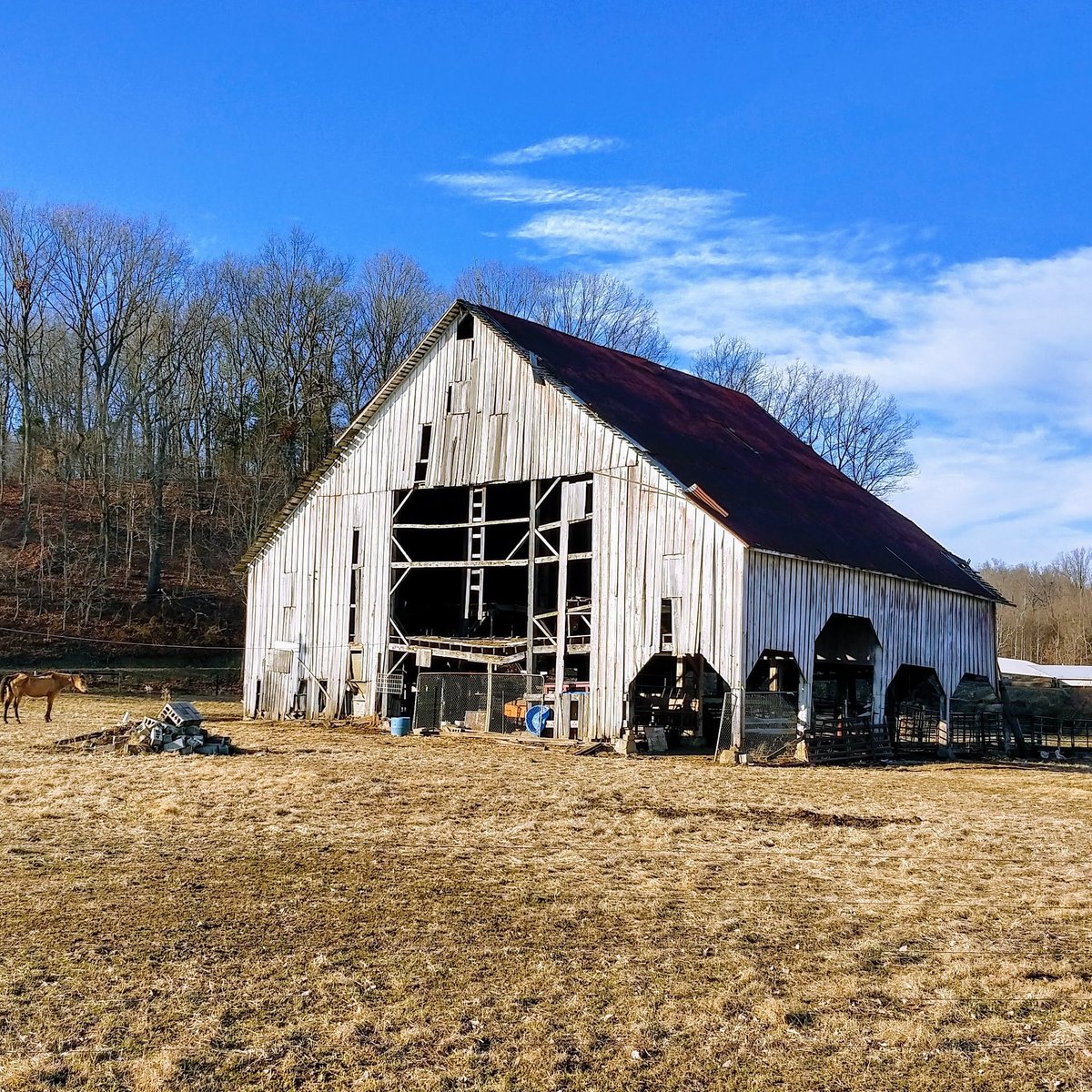 eclecticsouthpw's tweet photo. "Old White Barn." Taken w/ my #motoz3. No filter. ❤️ the way this one turned out. Printed/Matted/Framed. @MotorolaUS #oldbarns #barns #bldgswithcharacter #indianalife #barn #hellomoto #motorola #oldbarnsarecool #oldbarnstyle #oldbarnsofindiana #barnstyle #barnstalker https://t.co/1kN8wcuX2R