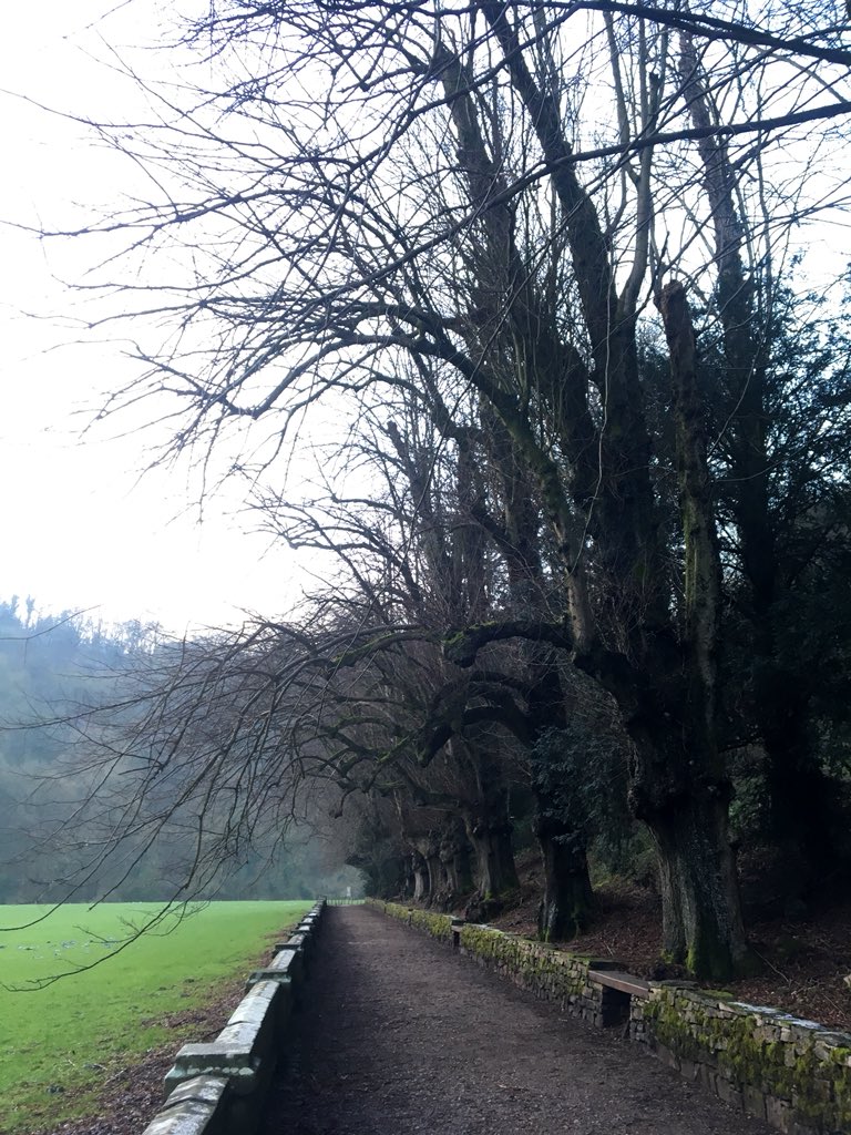 LizNelstrop's tweet image. So happy to be back in @PeakDistrictNT  - &amp;amp; excited for today’s workshop with walking volunteers and partners at @YHAIlamHall @PlasyBrenin @Sport_England @PeakDistrictDeb - pics from a walk recce last night...