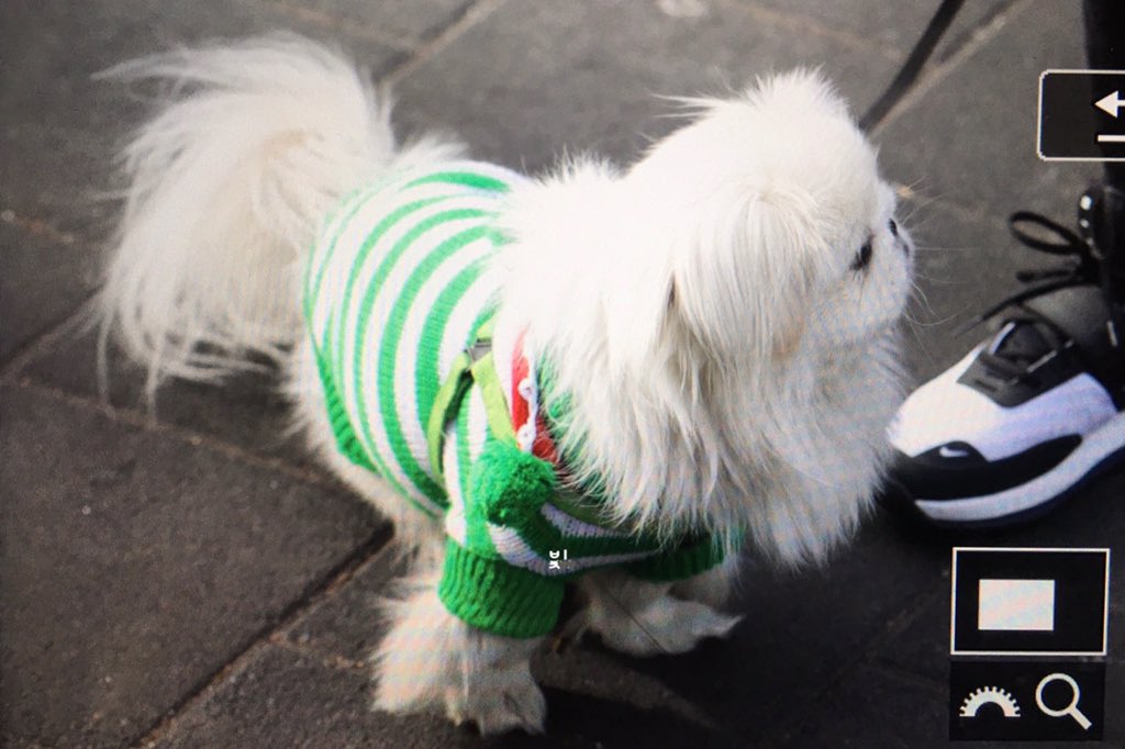 190131 홍대버스킹

        🌟뿌딩 슈퍼스타님❣️🌟
#몬트 #MONT <a href="/montlove1/">M.O.N.T_official</a>
#몬트는버스킹중
#뿌딩 #PUDING