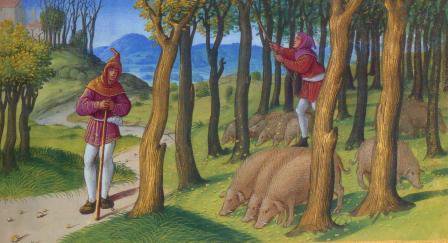 Au Moyen Âge, les forêts jouent un rôle essentiel : on en tire de la nourriture (gibier, fruits, glandée pour les porcs, etc) et du bois pour se chauffer et pour construire. Jusqu'au XIIIe siècle, pas de problème : il y a peu d'hommes, et beaucoup de forêts.