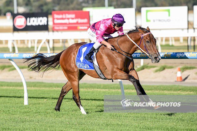 tequilaqueen07's tweet photo. #BRADBURY 4G Needs Further x Satin Choice ( Redoutes Choice) wins at @PakenhamRacing for Tr Ken Keys @kenmkeys & Jk Luke Currie #LukeCurrie #Tasbred @Armidale_Stud @tequilaqueen07 @BreedersTas https://t.co/vTxJ5jQKN9