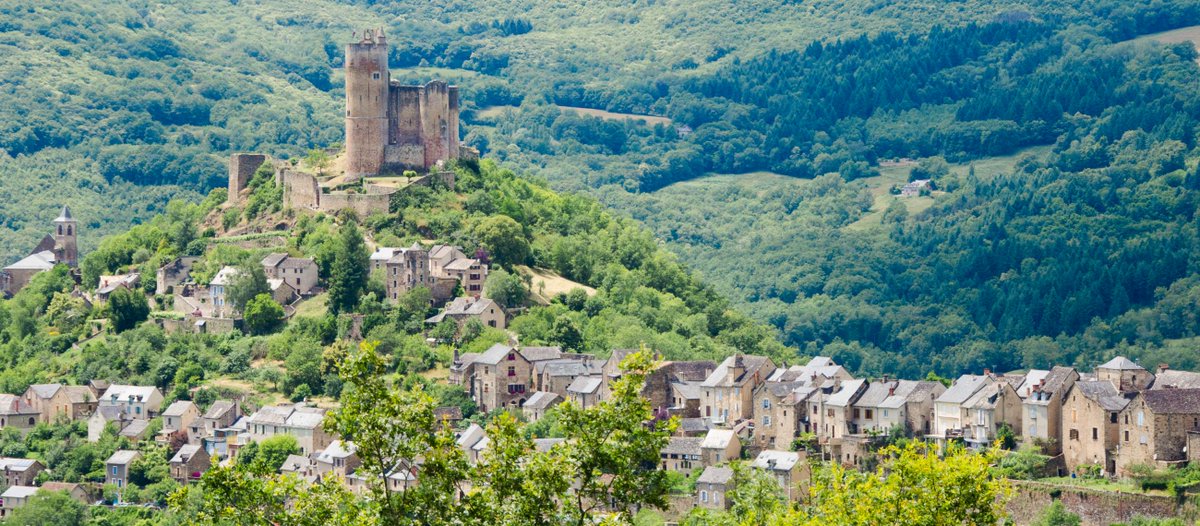 En 1307, les habitants du village de Najac ( @Tous_en_Aveyron) tirent la sonnette d'alarmes auprès du roi en lui signalant « la grande raréfaction des forêts à cause de la quantité de gens, et la nécessité, pour le bien commun, de les protéger afin d’éviter leur disparition »