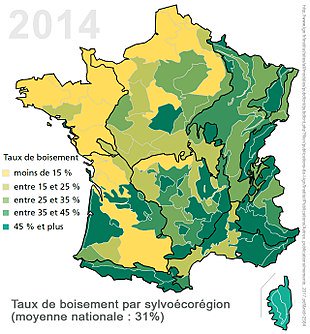 Il n'était donc pas « trop tard » : la preuve, il y a ajd plus de forêts en France qu'au XIIIe siècle. Mais il a fallu la conjonction d'une crise environnementale, aux conséquences économiques, et d'une véritable volonté politique, qui n'a pas eu peur de se rendre impopulaire