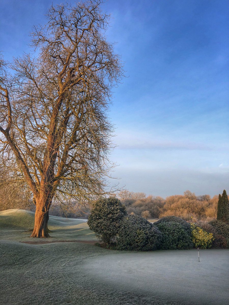 Manorgolfclub's tweet image. Hard frost but fully open on main greens! #wintergolf ⛳️👍