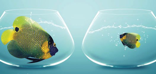 Knee Osteoarthritis: One size rarely fits all. paininmotion.be/blog/detail/kn…
Share your opinion in the poll: linkto.run/p/QV7YMYU0

#kneeOA #stratifiedcare