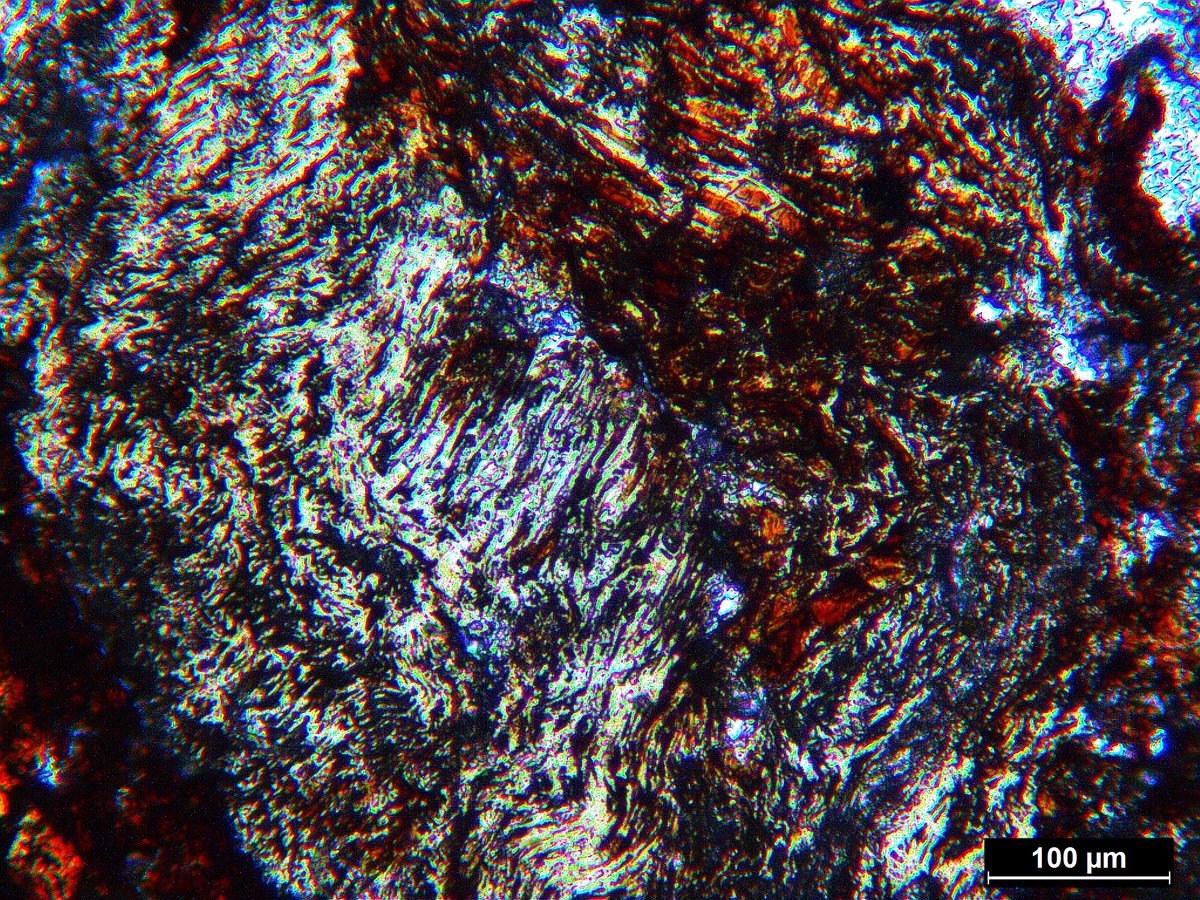 sticklebrix's tweet photo. Happy #thinsectionthursday, here's an image in XPL of some birefringent cellulose and fragmented ferruginised and fragmented phytoliths from a @Quest_UoR sample I looked at last week https://t.co/At7rPvMFzy