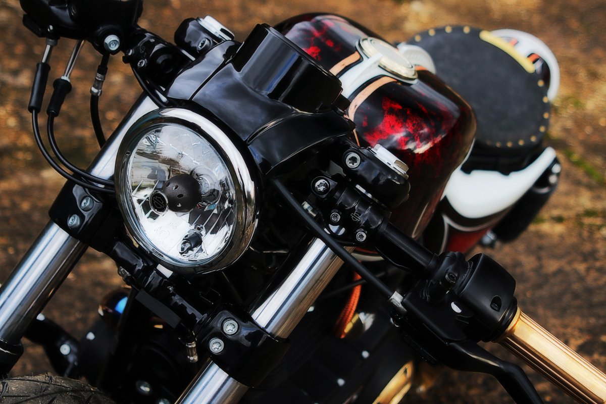 Sycamore H-D tweet media