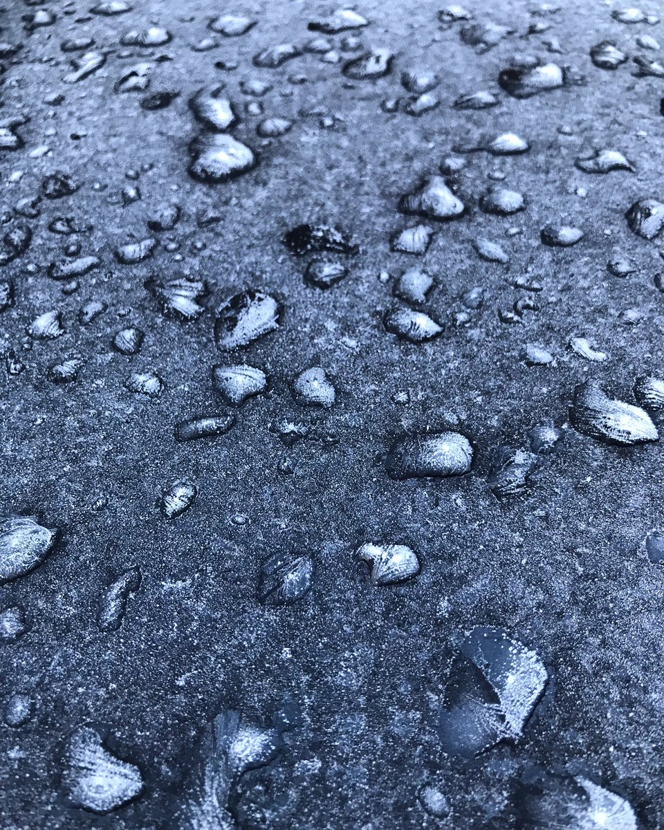 LizAtkin's tweet image. Accidental art #frost #icepatterns #aqua #trace #texturehuntergatherer #accidentalart #ice #texture #textures #accidentalart #grime #dailytexture #london #decay #SkinPicking #debris #layers  #markmaking #noticed