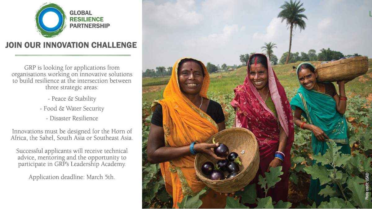 globalresilience.bsky.social tweet media