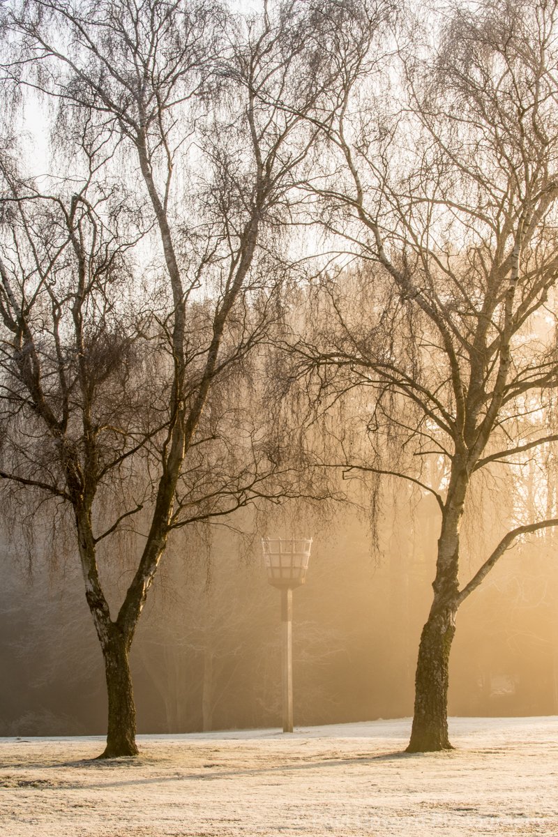 paulupward1's tweet image. Chalfont St Peter looking its absolute best first thing this morning. @KDicksonCSP @VisitChilterns @ChilternCouncil @CSPParish @KeepItLocalCSP @BucksLifeMags @Visit_Bucks @FiredWorksGlass @JF_Chalfont @GoldHillBC @ChalfontCoop @csp_church @BreadHouseCSP #keepitlocalcsp