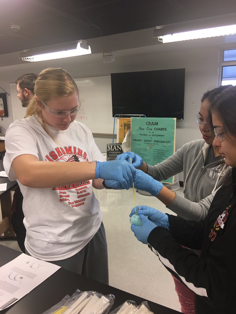 science_007's tweet photo. pGLO lab day two....actual transformation. #APBiology #microbiology #florescentbacteria @ChadOPugh @PaulaHarp10 @chel_kauk @ps_clinton @D_Up_D_Up  @CoachSheilaEddy https://t.co/VGPeRmGDu8