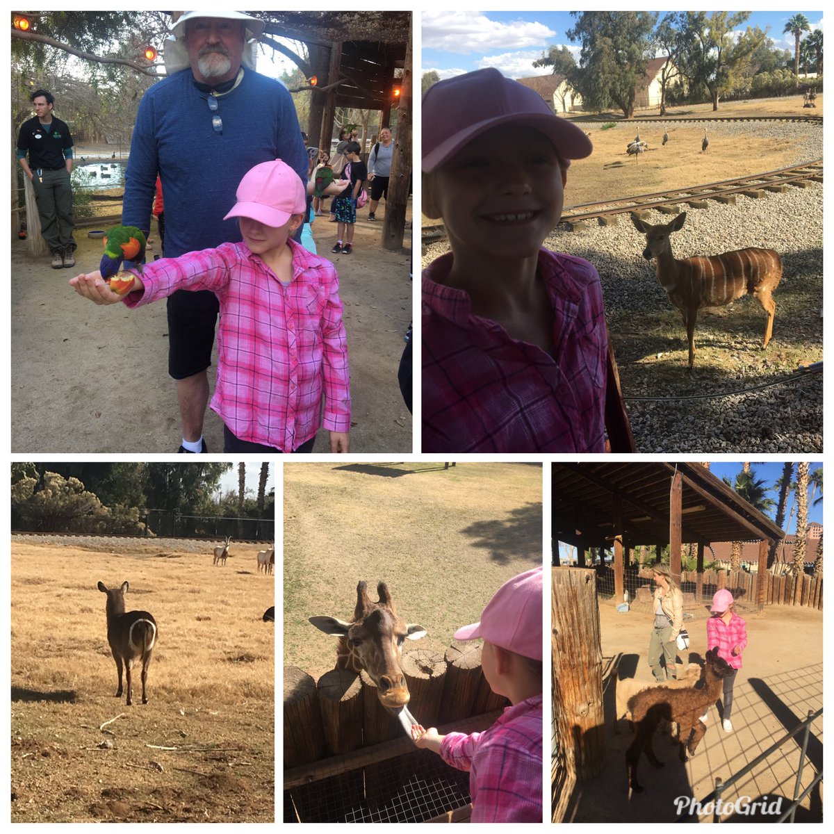 If you like animals #azwildlifeworldzoo is fabulous.