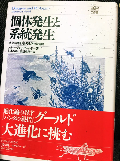 ドグラマグラからそういえば反復説って結局どうなったんだ🧐と思ってグールド読んだ。ヘッケル的な反復説は否定されたけど何で胚に鰓裂があるのかはまだ謎のままなんだね…。いつ分かるようになるのかな…。 