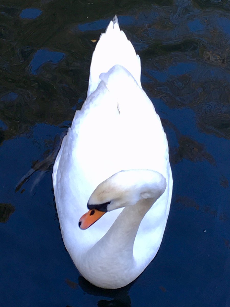 Mags Stubberfield tweet media