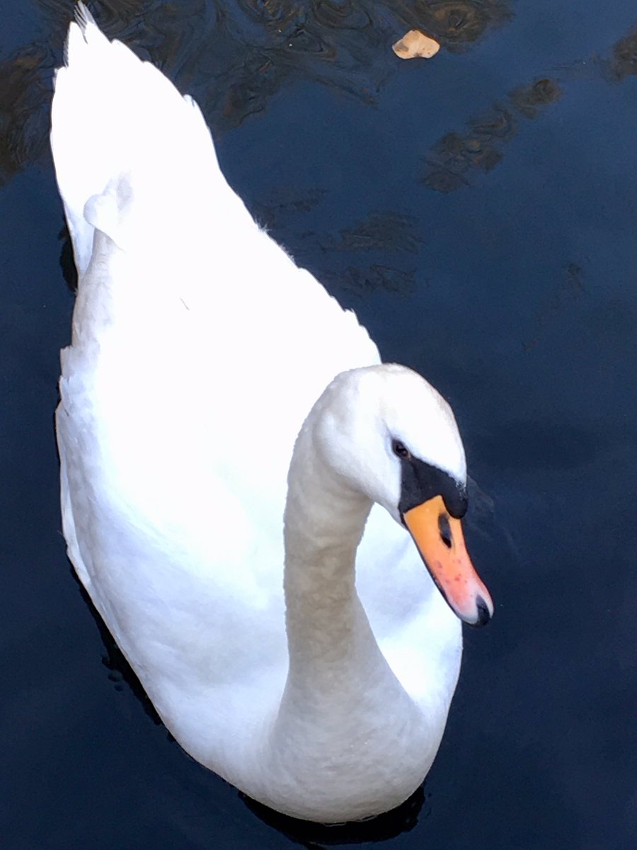 Mags Stubberfield tweet media