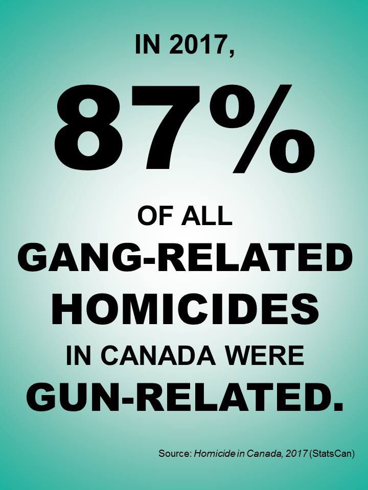 ONGIA's tweet photo. @CACP_ACCP @OACPOfficial @JusticeCanadaEN @Safety_Canada @ONAttorneyGen @ONsafety @YRP @OttawaPolice @cfseubc @SPVM @DRPS @PeelPoliceMedia @opp @TorontoPolice @tbpsmedia @NiagRegPolice @WindsorPolice @WRPSToday @CalgaryPolice @HaltonPolice @edmontonpolice @reginapolice @wpgpolice https://t.co/22ZayfB1eV