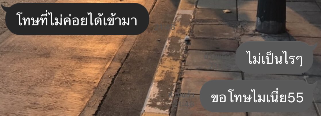 แมวมาเพ้อ💛 tweet media