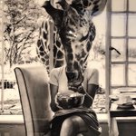 Photo by DesignAndStyleReport (@designstylerpt)