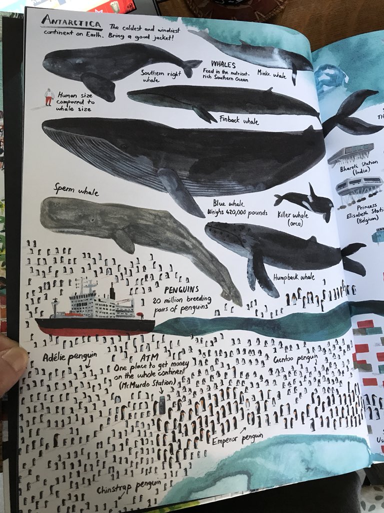 JessicaWalshEdu's tweet photo. This Antarctica spread in EVERYTHING & EVERYWHERE: A FACT-FILLED ADVENTURE FOR CURIOUS GLOBE-TROTTERS by @marc_martin makes me think of my friends @PegKeiner @mrpiercEy and @JPainterGeog! 🐧 @LindbladExp @NatGeoEducation #EducatorExplorer #EducatorExplorerBookClub #worldgeochat https://t.co/DEnmtVMVoS