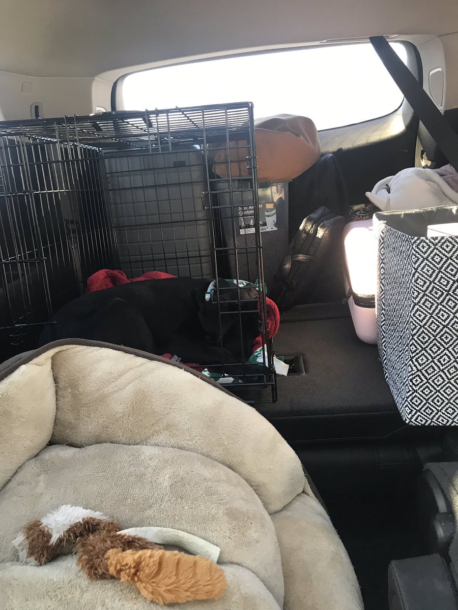 rlspar's tweet photo. Hi @Buick, we absolutely love the cargo space in the #BuickEnclave! Perfect for our road trip from Detroit to New Hampshire with our puppy. https://t.co/JiTZIWBb82