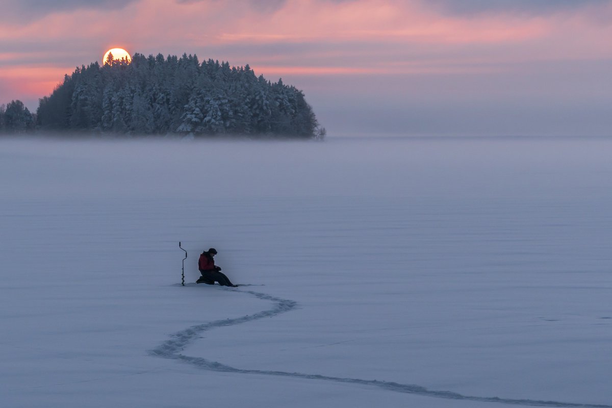 thisisFINLAND tweet media