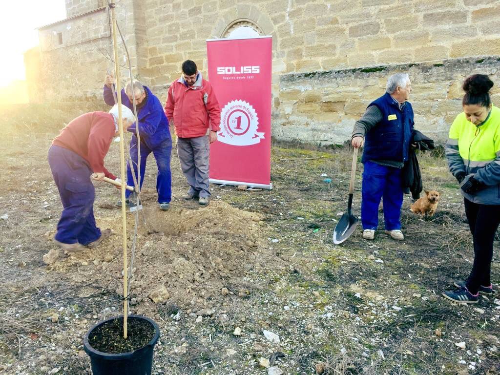 SolissSeguros's tweet photo. 🌳🌿 Las 7 pedanías de Huete (Cuenca) ya cuentan con un olmo ibérico resistente a la grafiosis: Moncalvillo de Huete, Verdelpino de Huete, Valdemoro del Rey, La Langa, Caracenilla, Bonilla y Saceda del Río se han sumado al #ProyectoOlmo de la @FundacionSoliss. https://t.co/uzNq3QwtpB