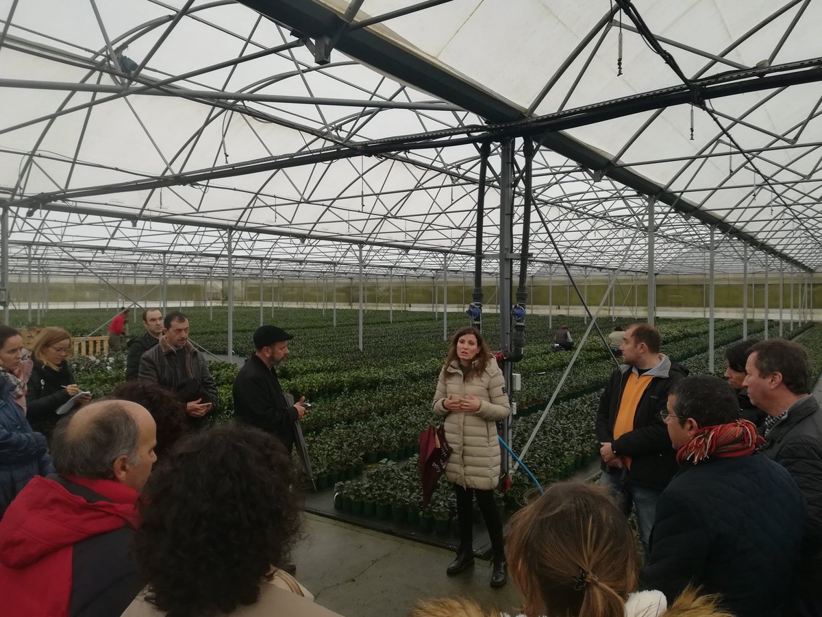 TominoCerveira's tweet photo. Admirando a camelia de Río Tollo #Viveiros #Turismo #Transfronteirizo Grazas @MostraCultivoBM #acuBam por acollernos https://t.co/SFWO8EXaKO