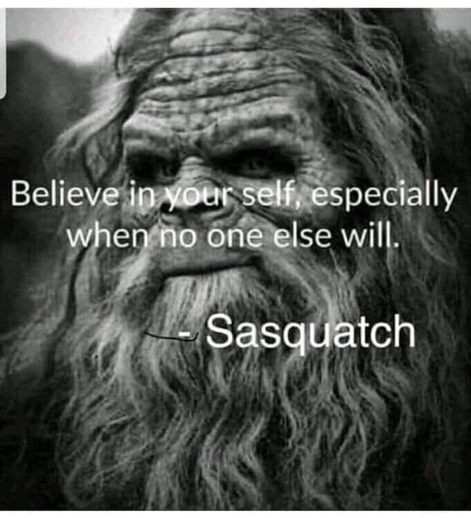 Squatch Watch tweet media