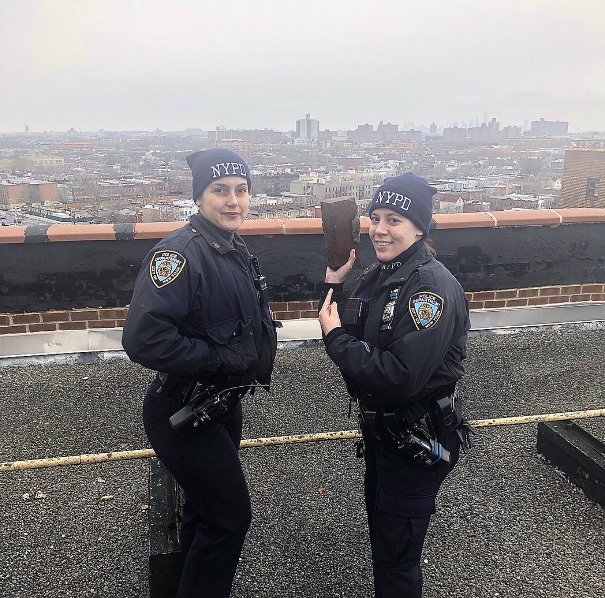 Cops holding a brick