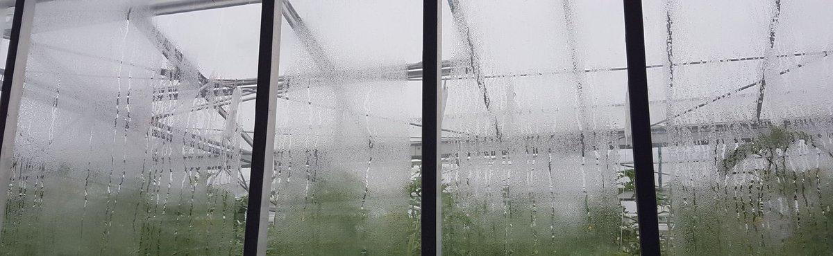 FEC Energy tweet media