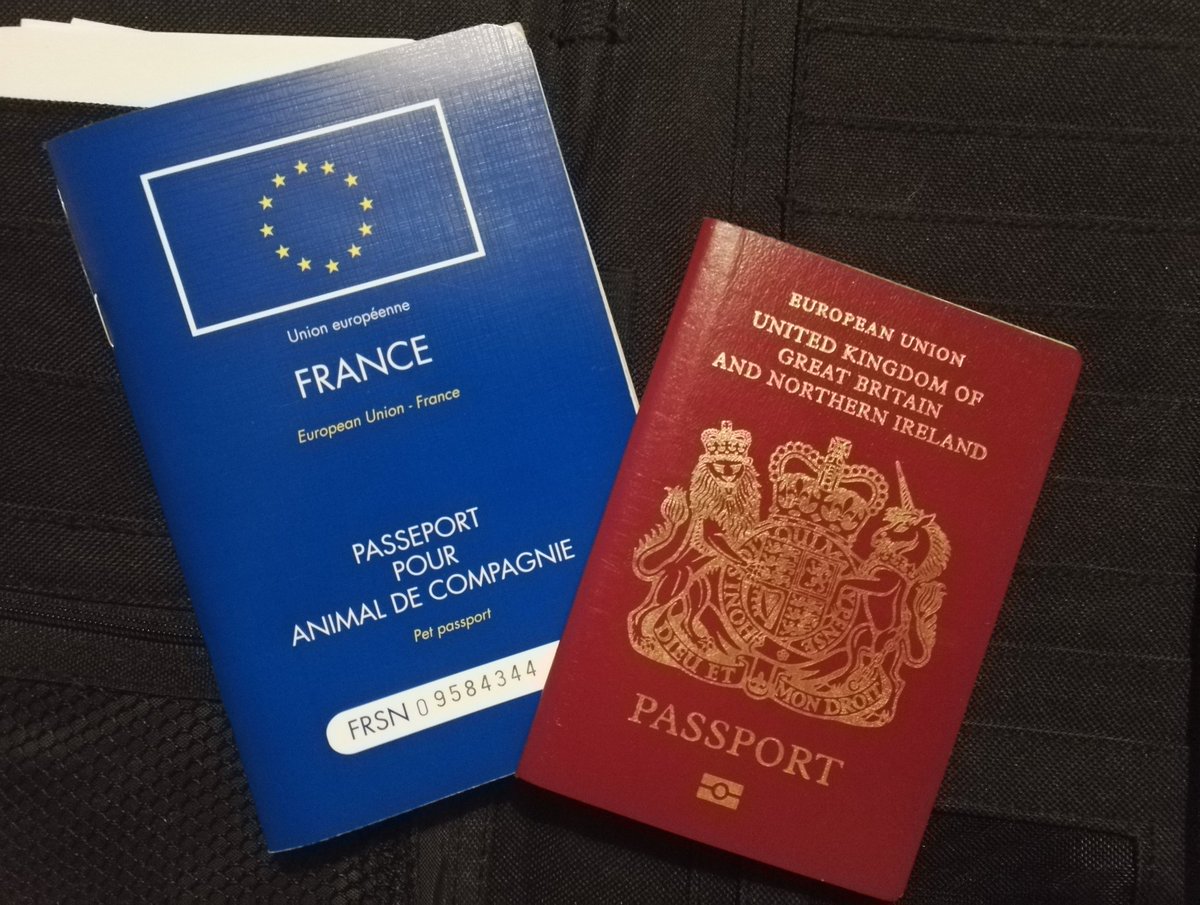 Firesnapper999's tweet image. Popped up on my IG timeline 😡  No I won't be renewing my Passport in 9yrs time. Hopefully Scotland will escape this Toxic union &amp;amp; rejoin the EU, and I'll sadly surrender my UK passport in order to become a 🇪🇺 again. 🇬🇧 Isn't the country I swore allegiance to 😢😢 #NotMyValues