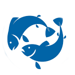 saumondefrance tweet media