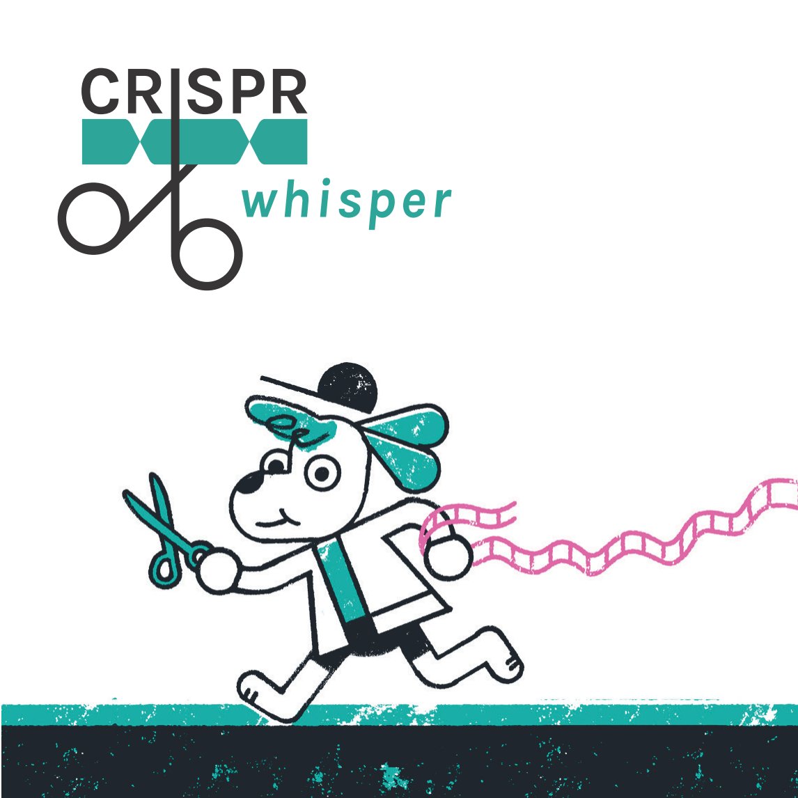CrisprWhisper's tweet image. Hier berichten Wissenschaftler aus dem DFG-geförderten Schwerpunktprogramm 2141 „Weitaus mehr als nur Verteidigung: die vielen verschiedenen Funktionen des CRISPR-Cas Systems“ über ihre Arbeit. Einfach folgen und nichts mehr verpassen!