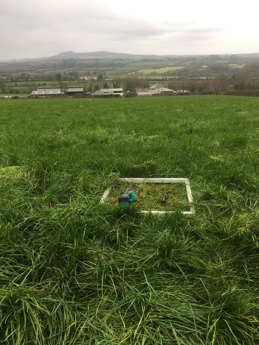 A wet end to dry January
Opening covers looking good 🌱call 0858426927 for a quote and free Pasturbase setup #Grass10 #GrassMeasuring