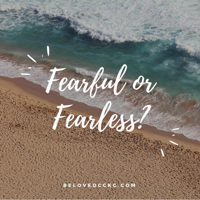 Belovedcckc's tweet photo. Fearful or Fearless in 2019? https://t.co/g2p72bI2UW https://t.co/KRHvWfP2lG