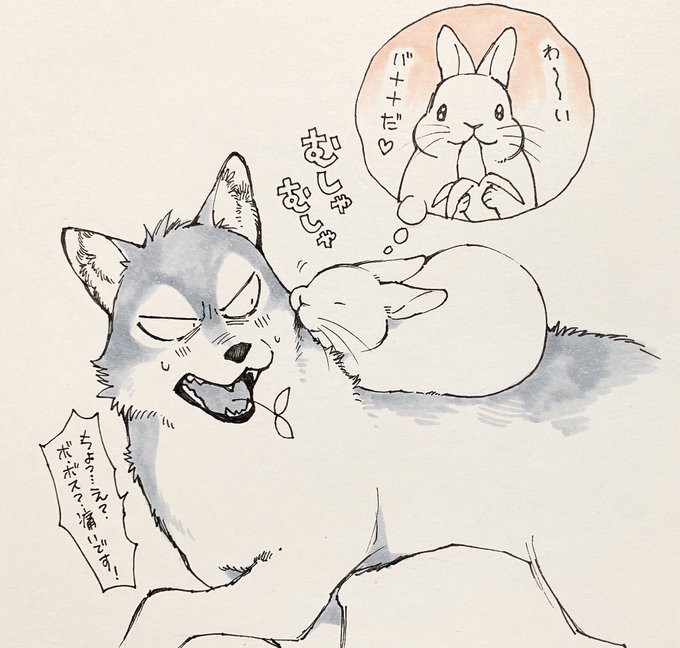 うさぎは正義のtwitterイラスト検索結果 うさぎは正義のtwitterイラスト検索結果
