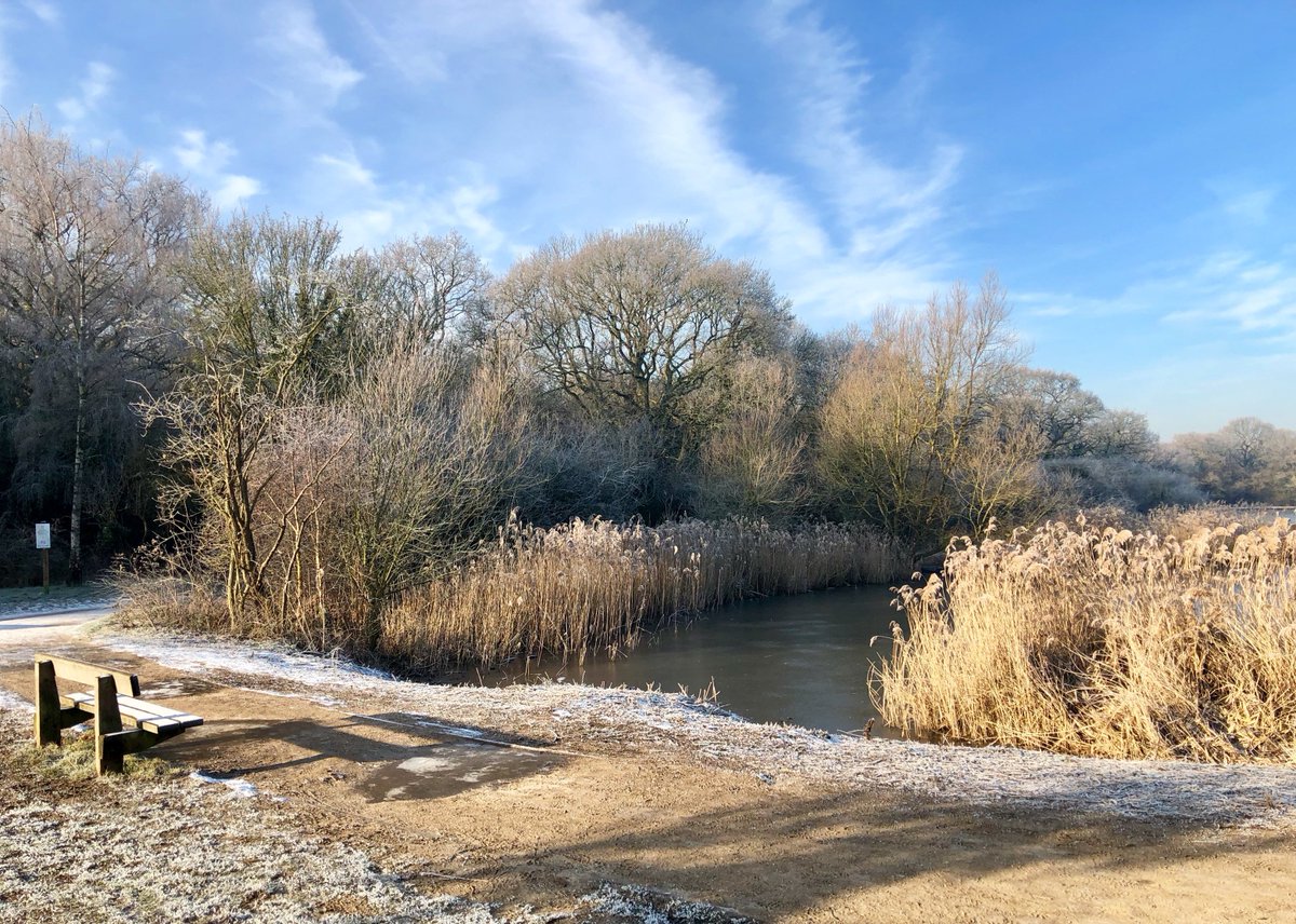 EppingPoet's tweet photo. I’m sorry but no verse today:
  My rhyming muse is all but lost.
  Alas, I had so much to say
  But nothing seems to rhyme with ‘frost’.
  #EppingForest #poetry  #frost #Winterwatch https://t.co/e7Zv7sUDXH