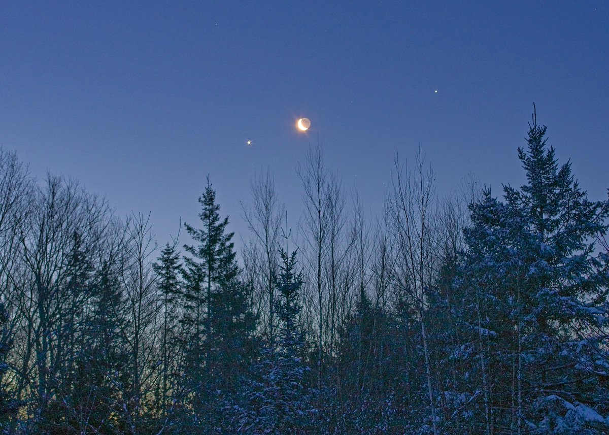 Jameswcormier's tweet photo. Venus, the Moon, and Jupiter this morning from my home in Maine.

#conjunction #maineskies #downeastmaine https://t.co/cp5FD6WZYM
