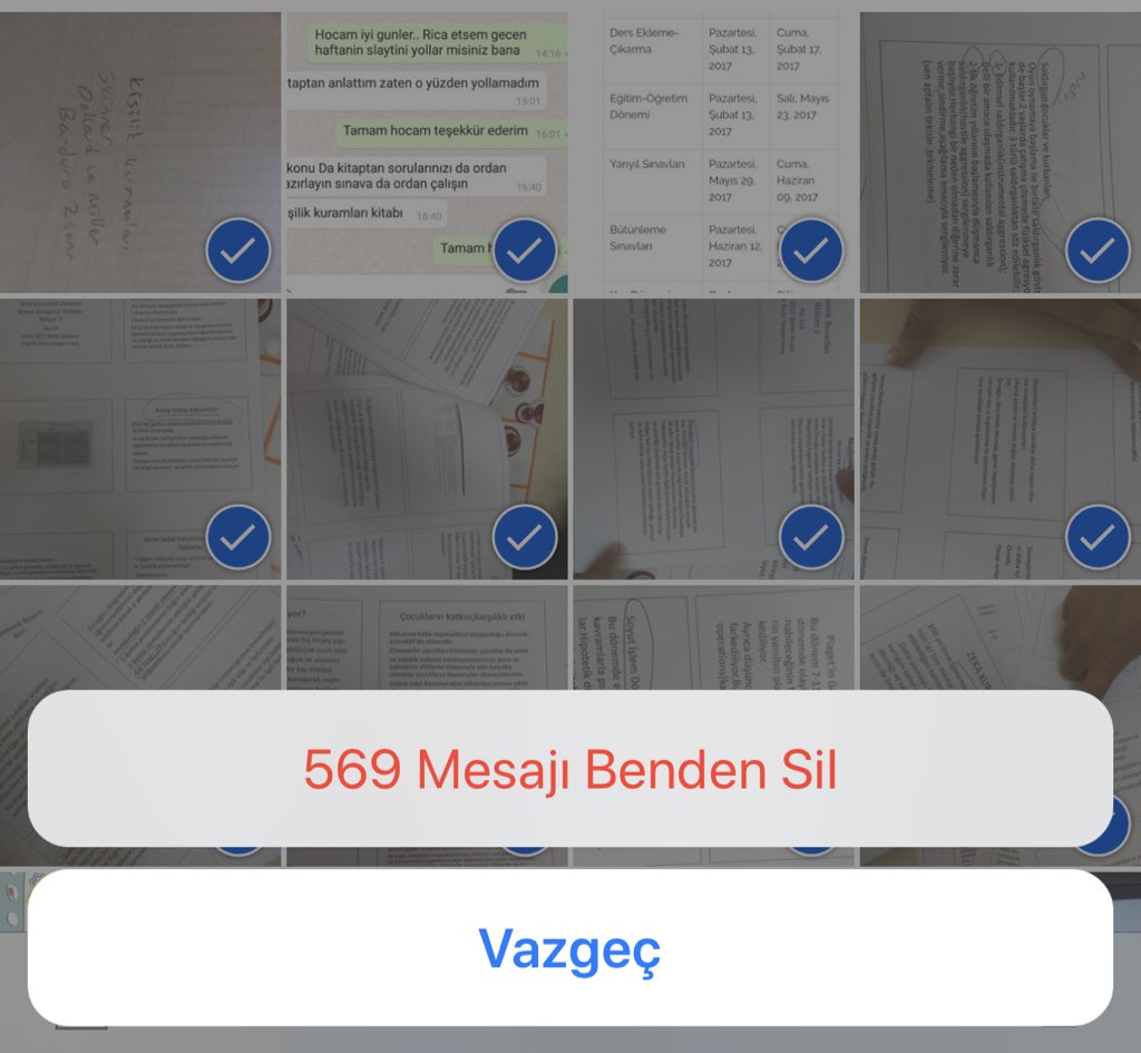 Son sınıfın son dönemine giriyorumdur,mezun olmaya adım adım
