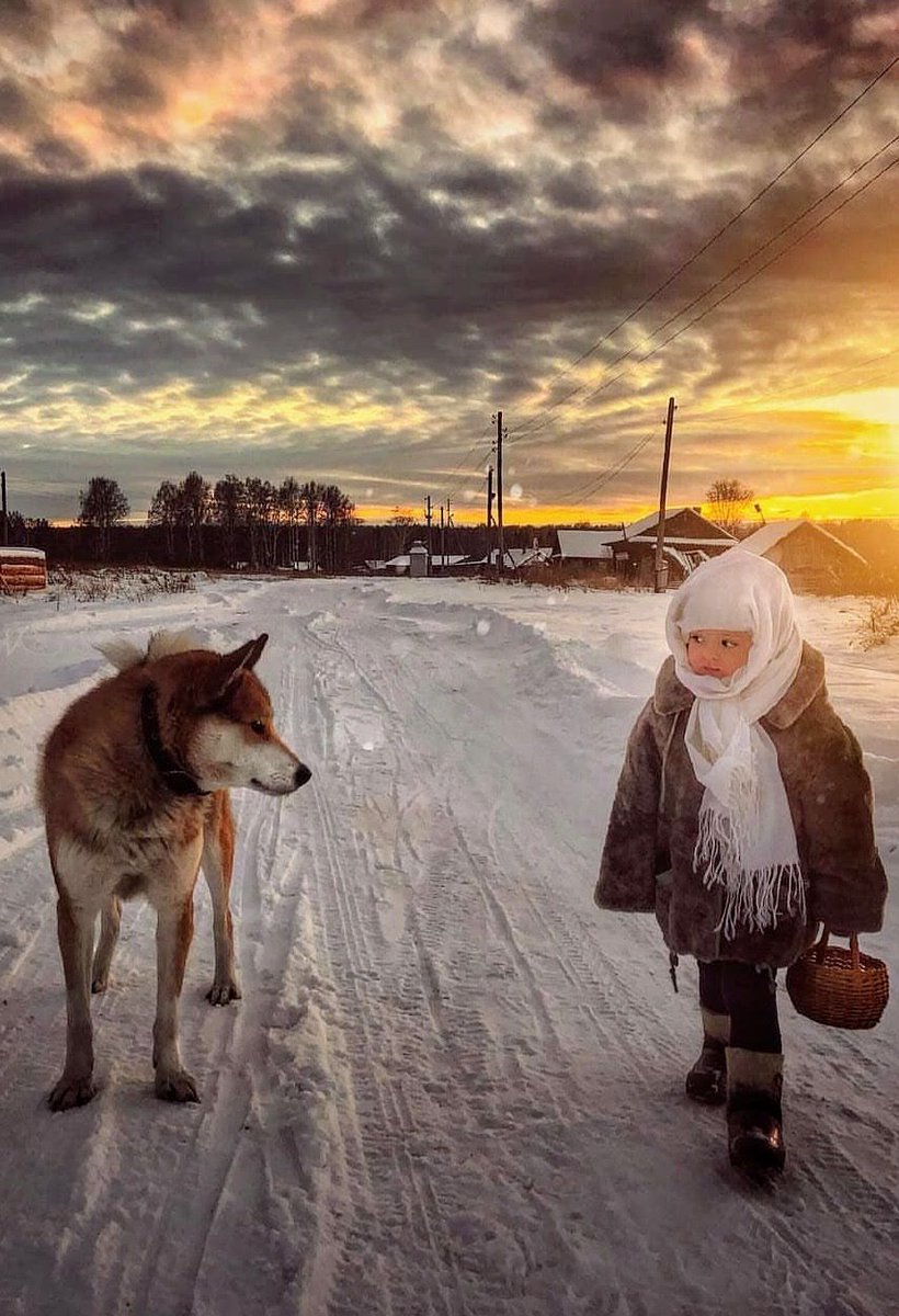 🦋ÉPHÉMÈRE🦋 🇫🇷 tweet media