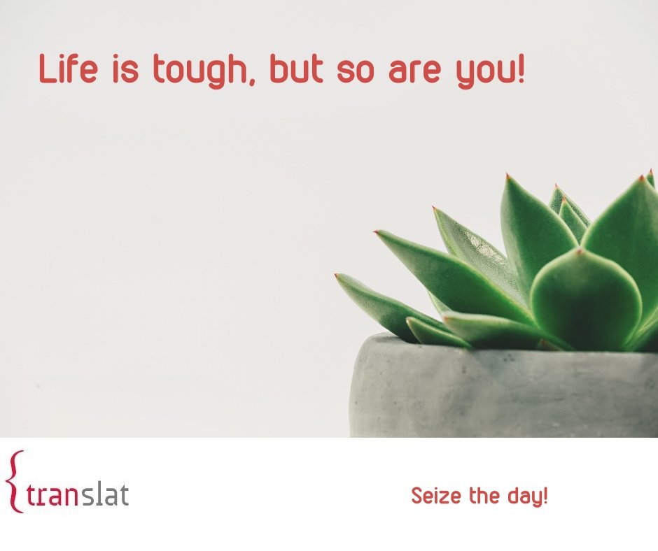 TRANSLAT's tweet photo. #StartOfTheWeek #InsiprationalQuote #TranslatTeam #Translat https://t.co/0hRFmT7QMA
