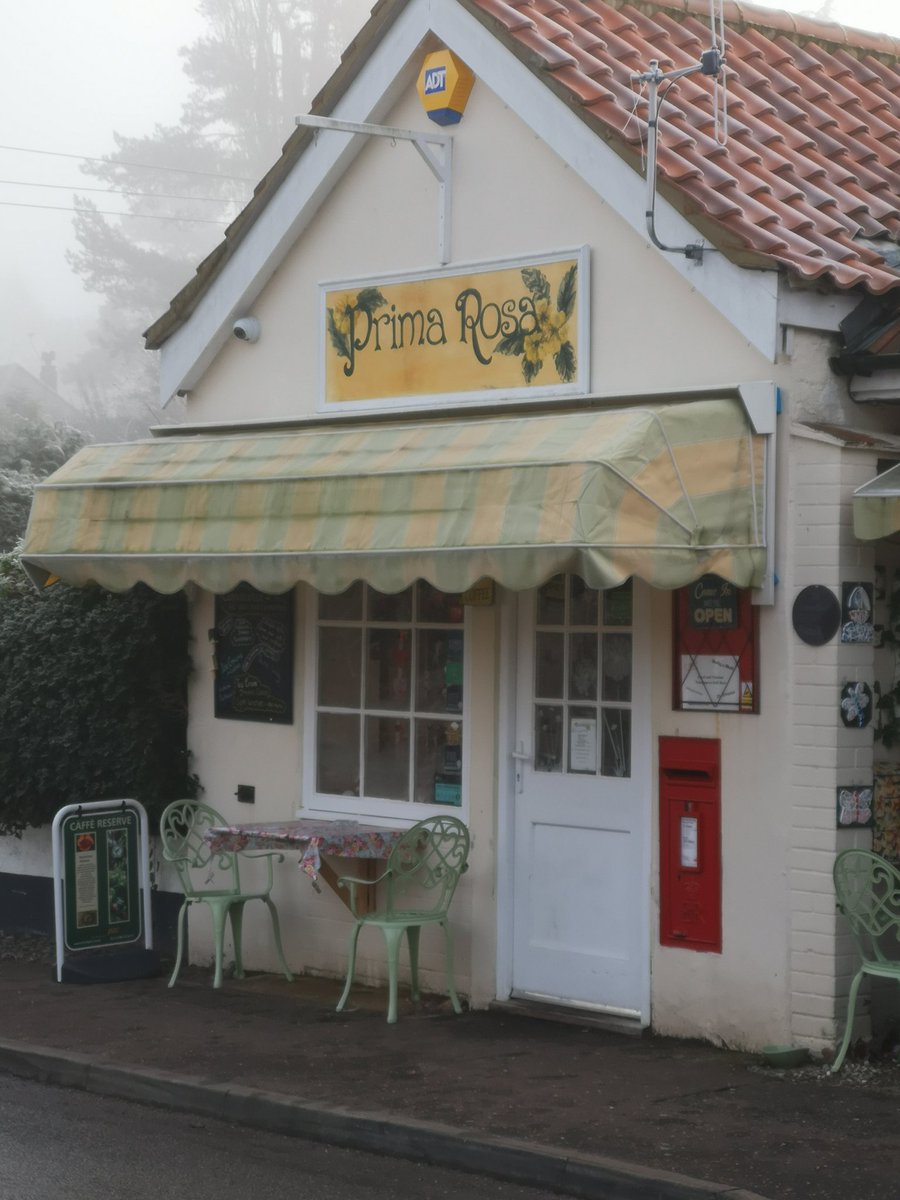 Prima Rosa tweet media