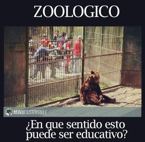 #NoMásZoo 😪