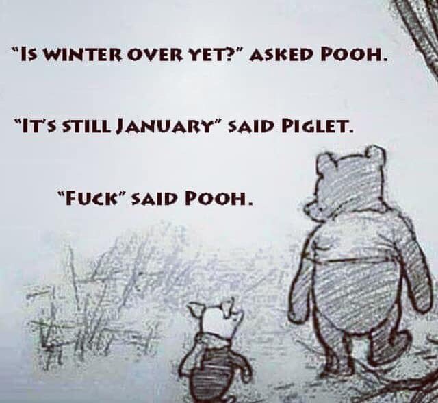 SFernandes01's tweet photo. Brrrrr ☃️ https://t.co/ssYSU9jeqK