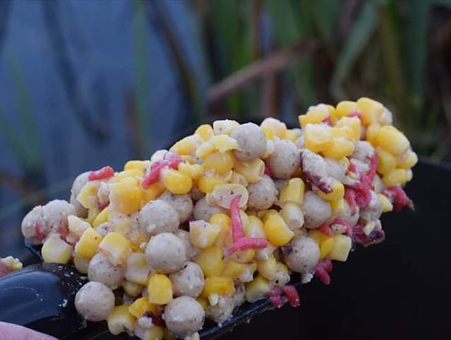 BaitTech's tweet photo. The perfect winter mix! Triple-N Boilies, Maggots and Scopex Super Sweetcorn glugged in Triple-N Stick Mix Liquid. 

#TeamBaitTech #BaitTechCarp https://t.co/VT0BaYprUA