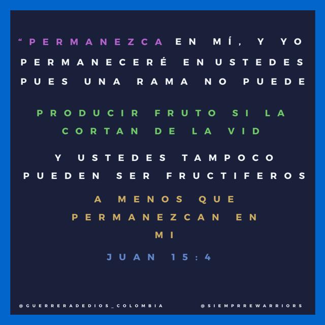 SiempreWarrior's tweet photo. Permanezcamos en El, créeme  es nuestro mejor aliado para ganar la batalla y obtener los frutos. #siemprewarriors #guerreradedioscolombia #permanecer #fidelidad #constancia #meta #ganar #jesus #victoria #refugio #lucha #Dios #salvacion https://t.co/wIpjXP0BSq