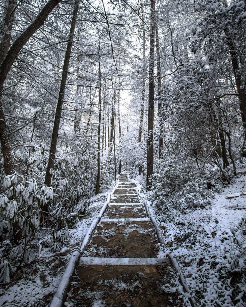 TristarAdventur's tweet photo. Frozen Trails are Happy Trails!

📍Chilhowee
📷 by @danieljaneway 

#instagramtennessee #tristaradventures #tennessee #chilhowee #frozentrails #winterwonderland #snowdays #winter https://t.co/HfpVvFqYYr
